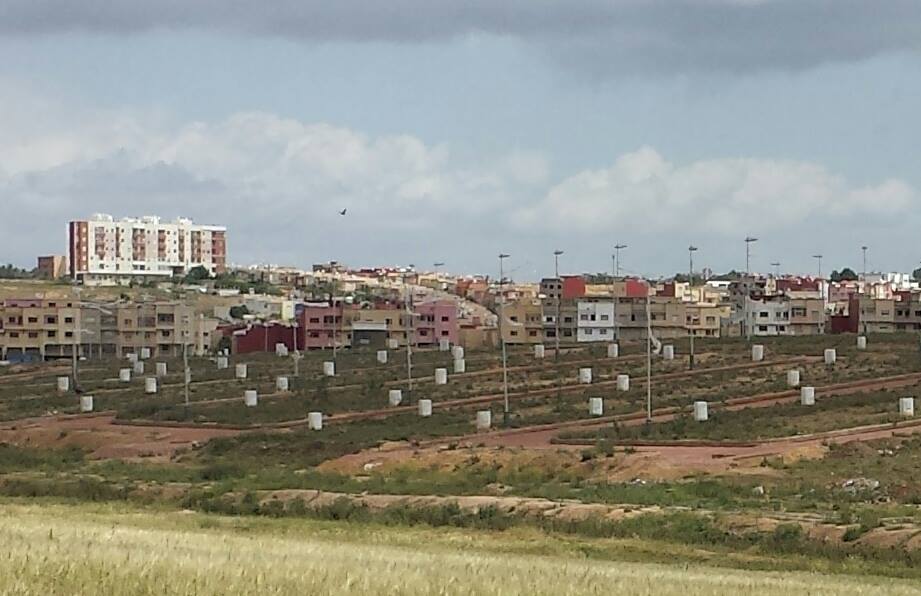 13091931_1221480791204076_3247092803200830652_n