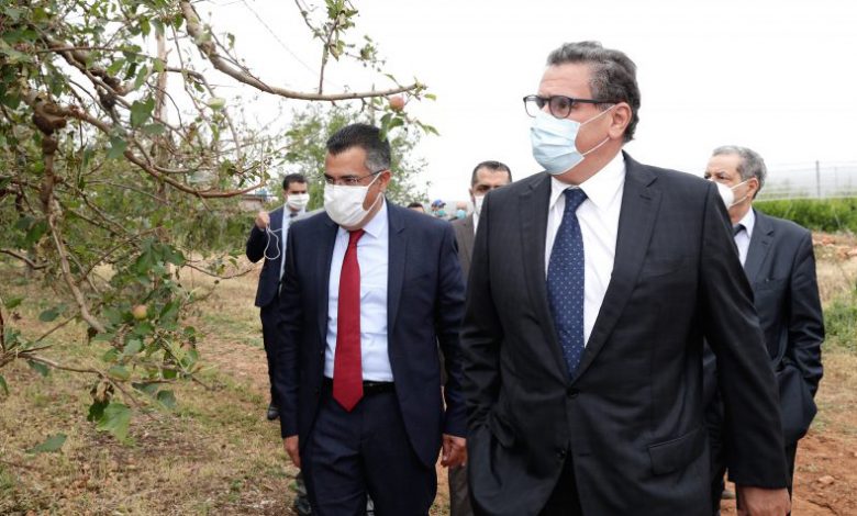 انطلاق الموسم الفلاحي بتأمين 1,6 مليون قنطار ودعم يصل إلى 325 درهم للقنطار