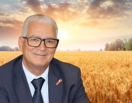 إغلاق 9 مطاحن تتلاعب في جودة الدقيق