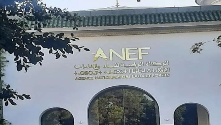 المياه والغابات ترد على اتهامات دعم الجمعيات