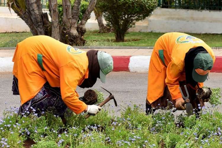 علي بنحمدوش …. دعوات لفتح ملف العمال العرضيين بالجماعة