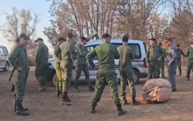 الدرك يشن حملة ضد عصابات المخدرات بغابات بنسليمان والمحمدية