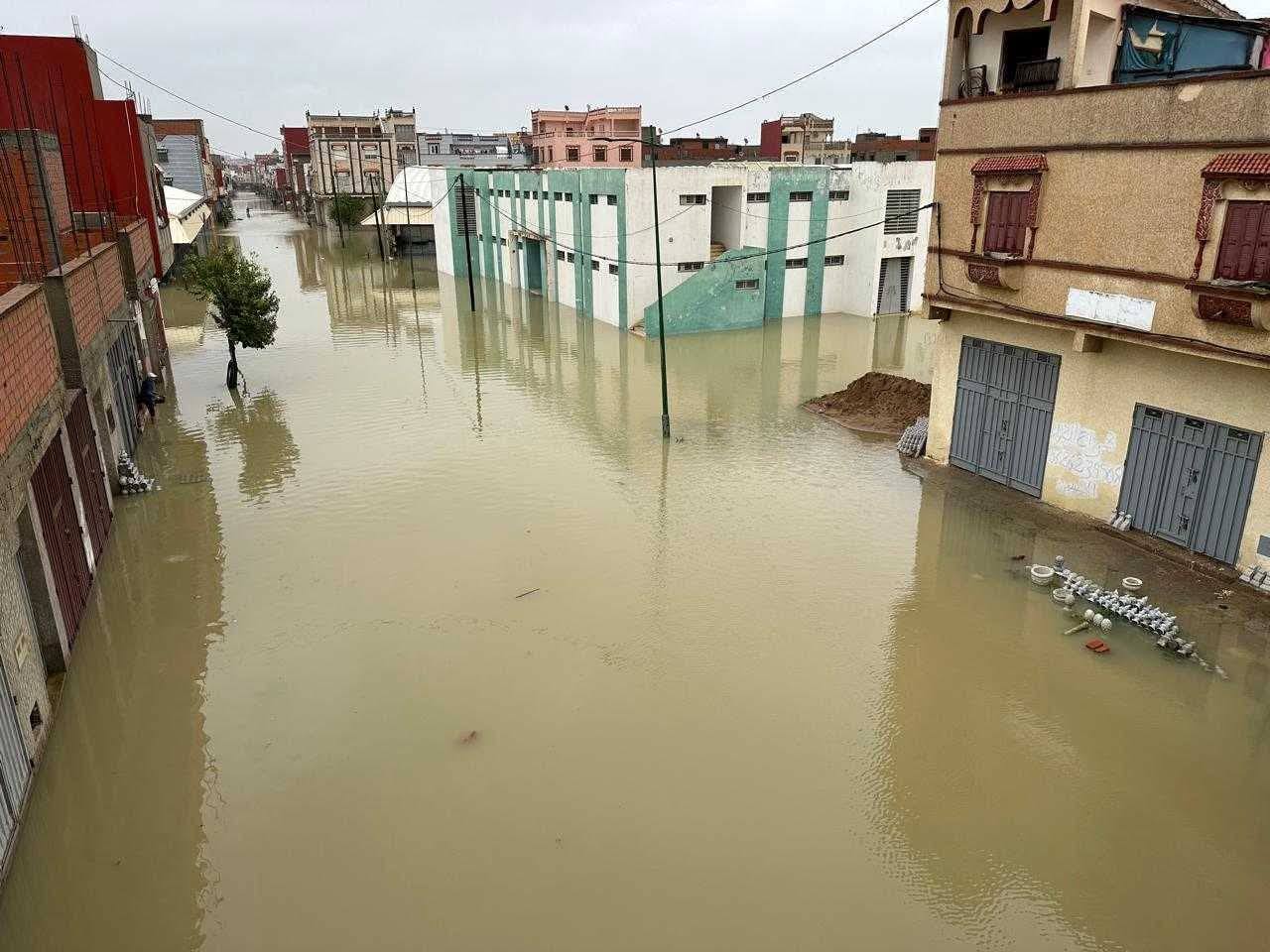 لوبيات العشوائية لوبيات العشوائية