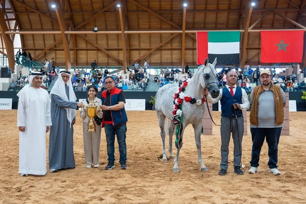 الرباط تحتضن كأس الإمارات العالمي لجمال الخيول العربية الرباط تحتضن كأس الإمارات العالمي لجمال الخيول العربية