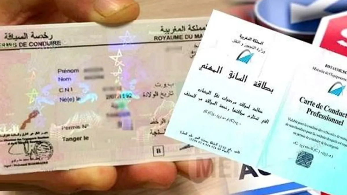 وزارة النقل تعالج مشكل بطائق السائقين المهنيين وزارة النقل تعالج مشكل بطائق السائقين المهنيين